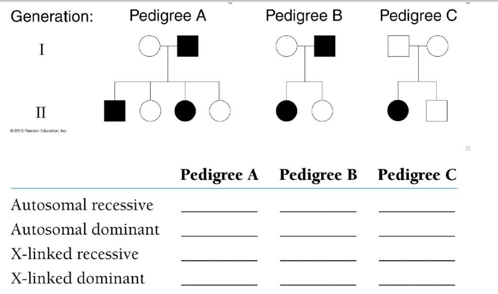 Solved Generation: Pedigree A Pedigree B Pedigree C I II | Chegg.com