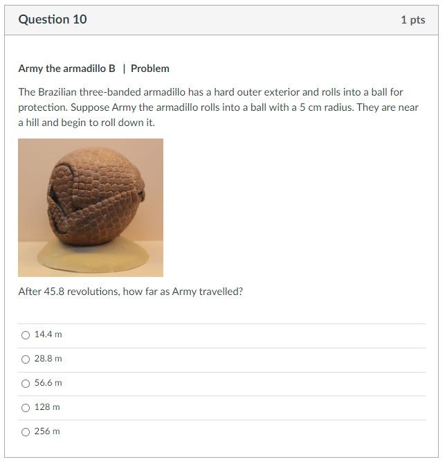Solved Question 5 Plot of position A Problem You're given a | Chegg.com
