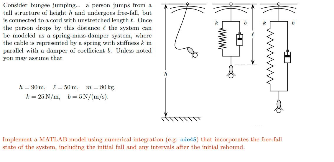 Solved Consider Bungee Jumping... A Person Jumps From A Tall | Chegg.com