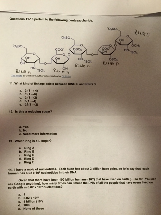 Solved Questions 11 13 Pertain To The Following