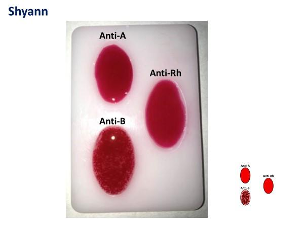 Solved To complete this assignment. Each question shows the
