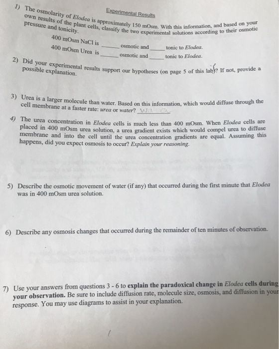 1) The osmolarity of Elodea is approximately 150 | Chegg.com