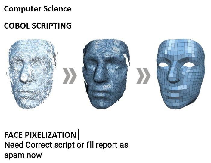 Computer Science COBOL SCRIPTING >> FACE PIXELIZATION | Chegg.com