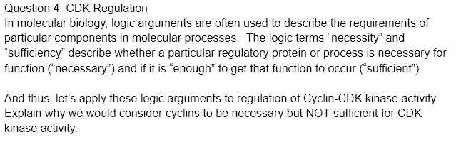 Solved Question 4: CDK Regulation In Molecular Biology, | Chegg.com