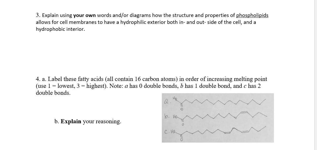 Solved 1. Identify the type of lipid (wax, fatty acid,
