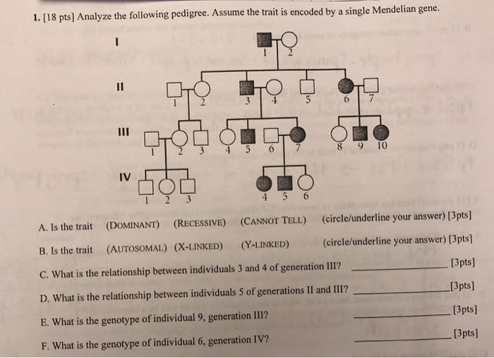Solved [18 pts] Analyze the following pedigree. Assume the | Chegg.com