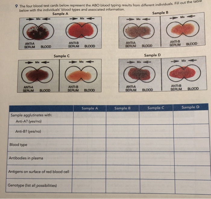 Solved 9 The four blood test cards below represent the ABO