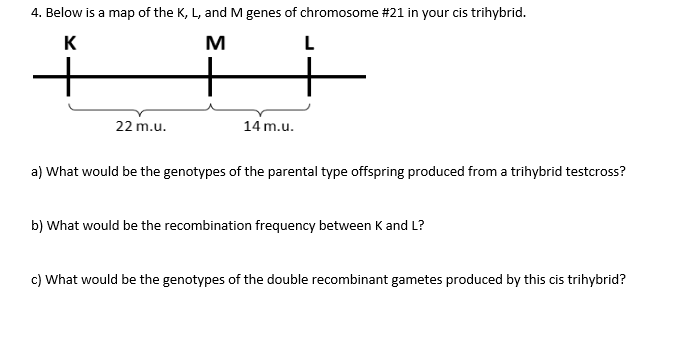 Solved 4. Below is a map of the K, L, and M genes of | Chegg.com