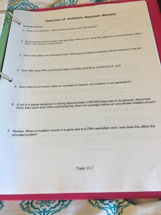 Solved Selection of Antibiotic Resistant Mutants PreLab