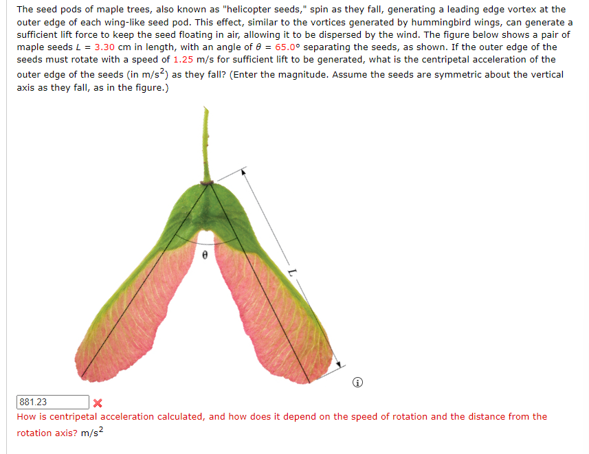 Solved The seed pods of maple trees, also known as