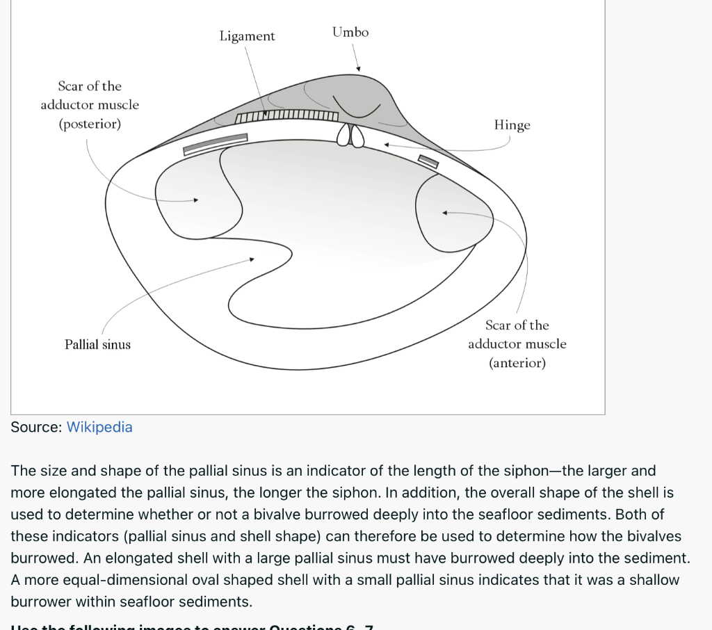 Hinge (app) - Wikipedia