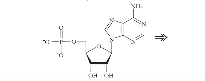 22 The Phosphate Functional Group In The Noncyclic Chegg 