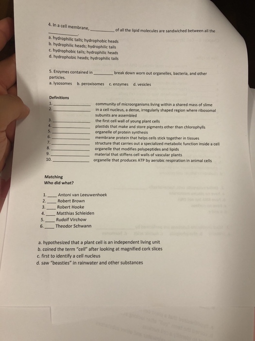 Solved BIOL 1406 Name Chapter 4 -Cell Structure School: True | Chegg.com