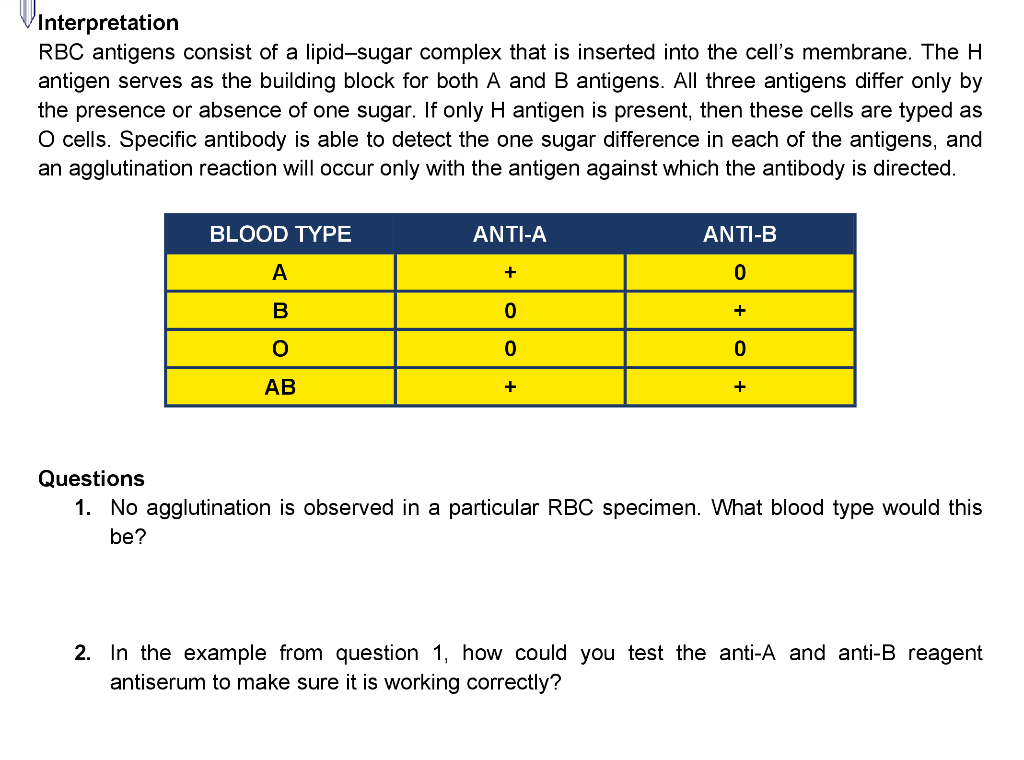 Solved Vinterpretation RBC antigens consist of a lipid-sugar | Chegg.com