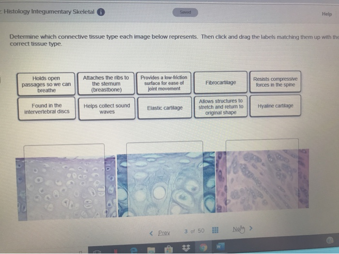 Quiz Histology Integumentary Skeletal Help Se