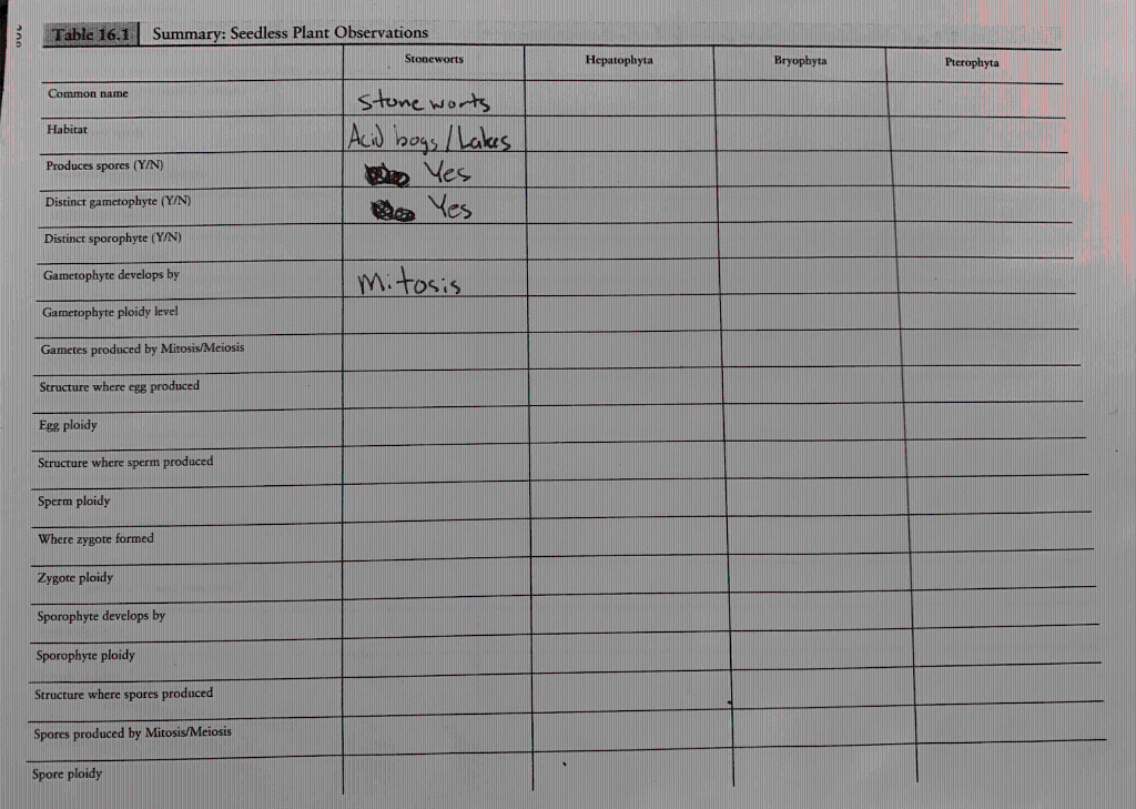 \begin{tabular}{l|ll}  Table 16.1 & Summary: Seedless Plant Observations \\ \hline \end{tabular}