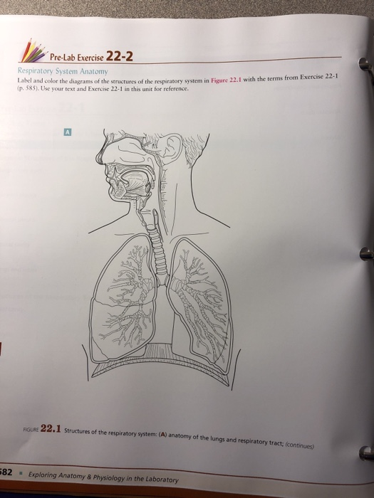 Solved Nome Section Date PRE-LAB EXERCISES Complete the | Chegg.com