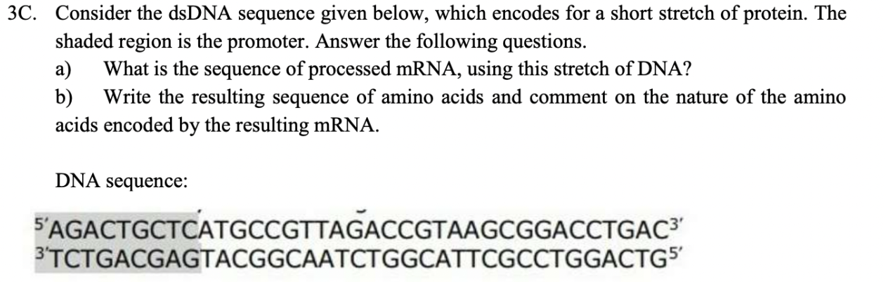 Solved 3C. Consider the dsDNA sequence given below, which | Chegg.com