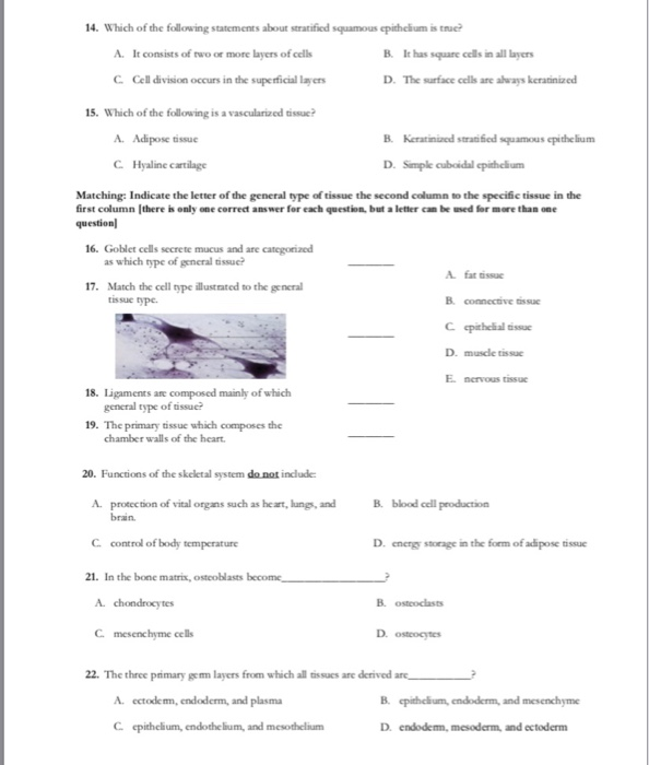 Solved 14. Which Of The Following Statements About 