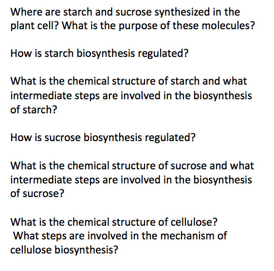 Solved Where are starch and sucrose synthesized in the plant | Chegg.com