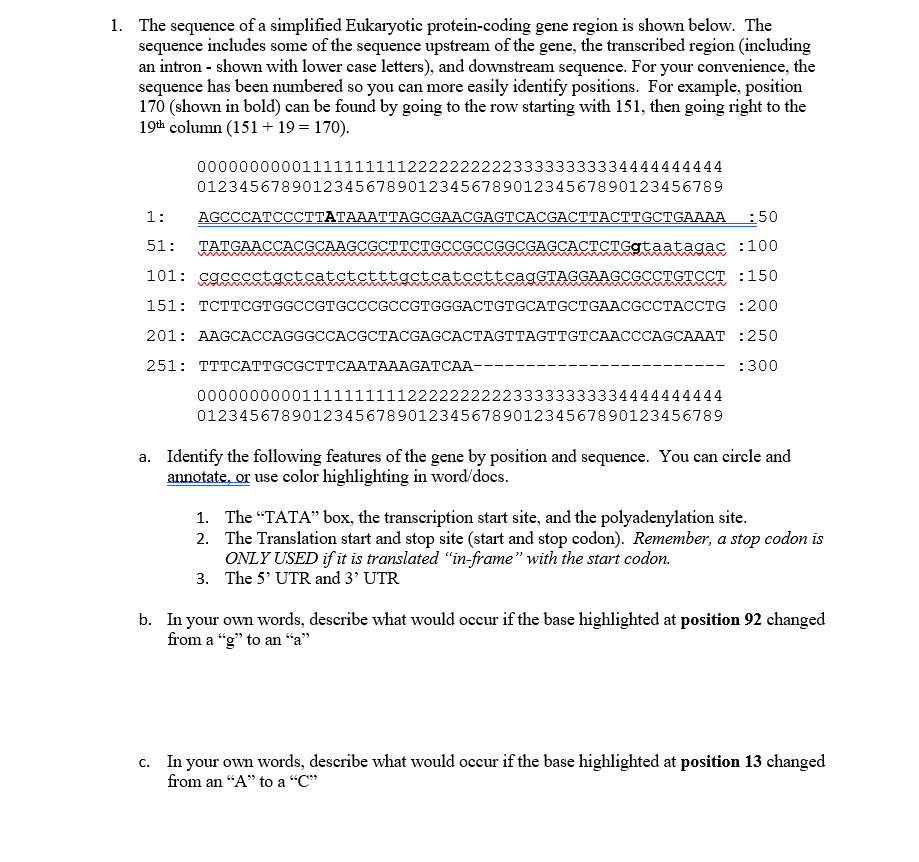 Solved 1. The sequence of a simplified Eukaryotic | Chegg.com
