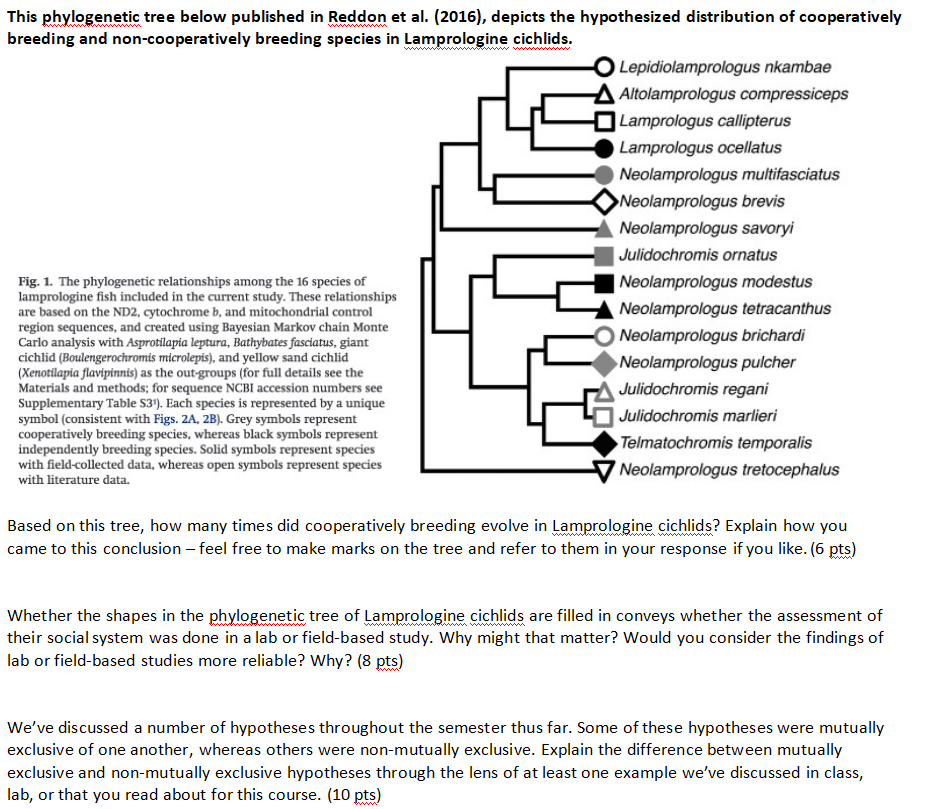 This phylogenetic tree below published in Reddon et Chegg com