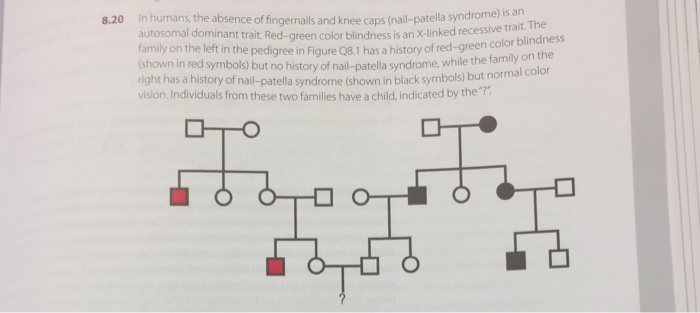 Nail caps hotsell for humans