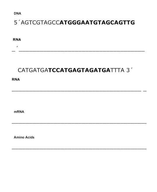 Solved Task Consider the DNA sequence given on the next page | Chegg.com