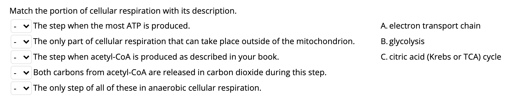 Solved Match the portion of cellular respiration with its | Chegg.com