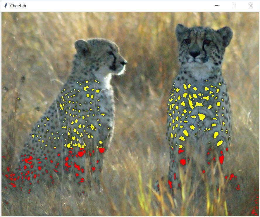 Help with Thonny (Python) This picture (The first | Chegg.com