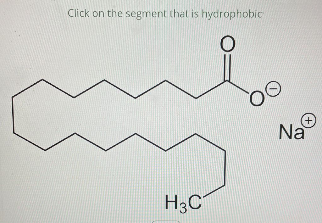 Click on the segment that is hydrophobic
H3C
Na?