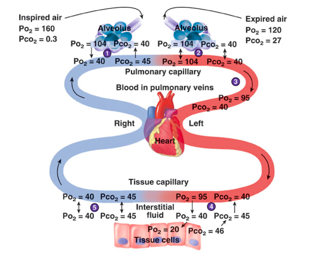 Solved Could someone explain to me what is going on in this