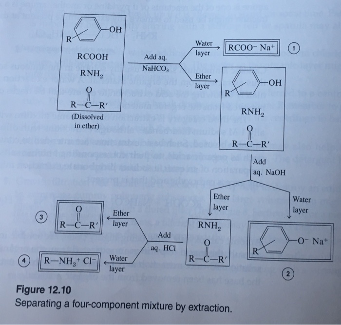 Solved Using Aqueous Hydrochloric Acid Sodium Bicarbonate Chegg Com