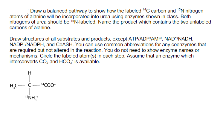 Solved Draw a balanced pathway to show how the labeled 14C | Chegg.com