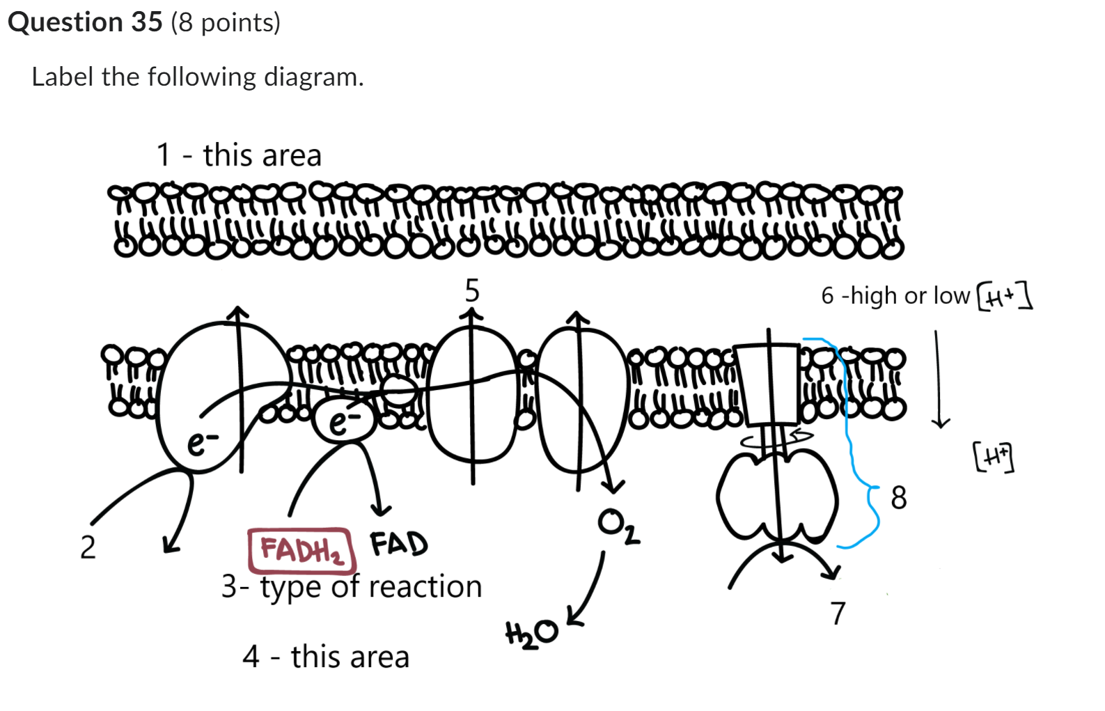 Label the following diagram.