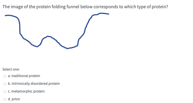 Protein Folding Funnel 