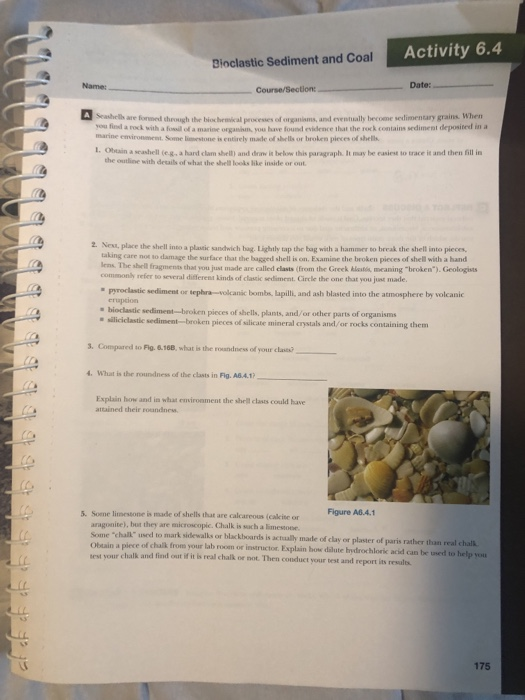 Activity 6.4 Bioclastic Sediment and Coal Name: Date: | Chegg.com