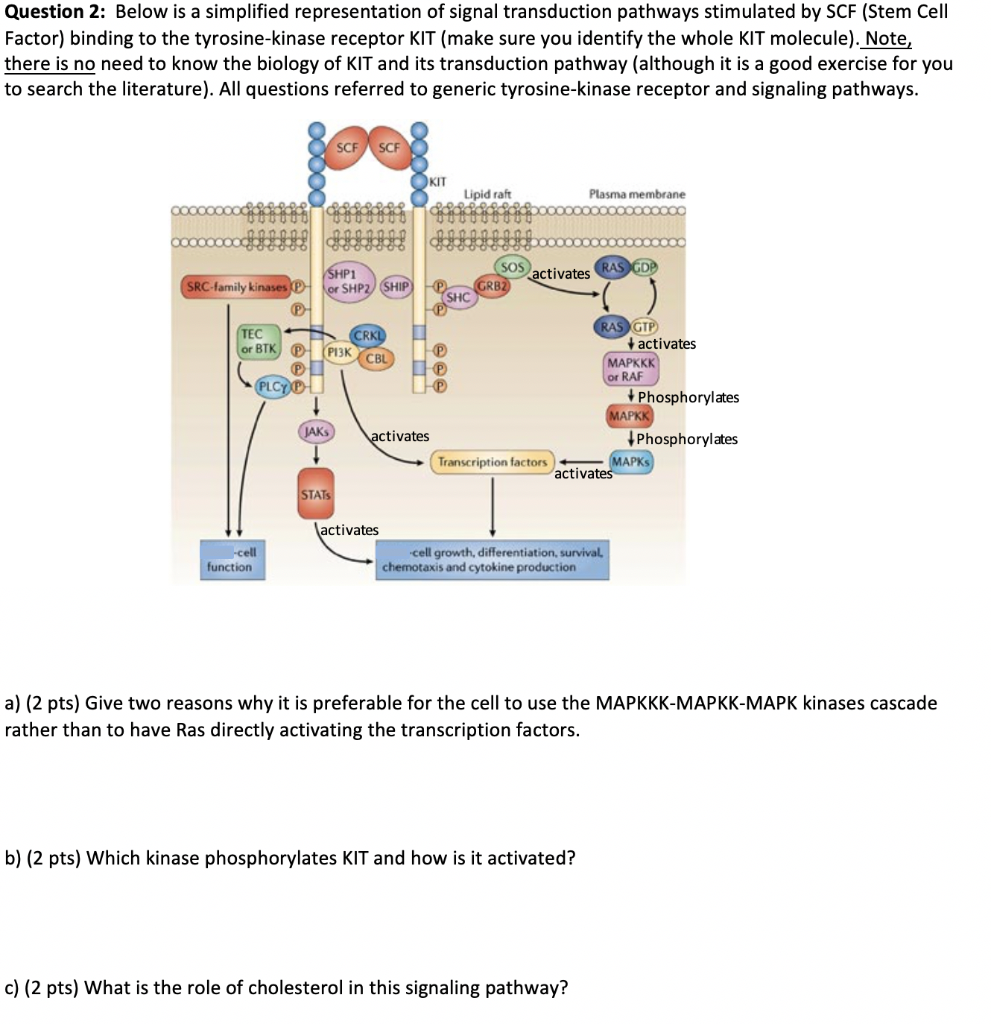 Solved Question 2 Below is a simplified representation of