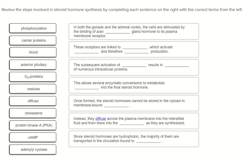 solved-review-the-steps-involved-in-steroid-hormone-chegg