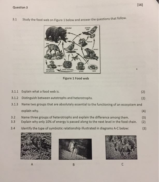 Solved Section A - Biology [40] Question 1 1.1 1.2 1.3 1.4 | Chegg.com