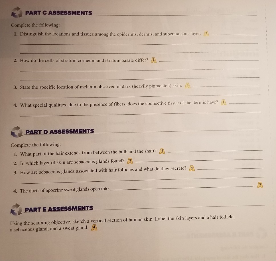 solved-part-c-assessments-complete-the-following-1-chegg