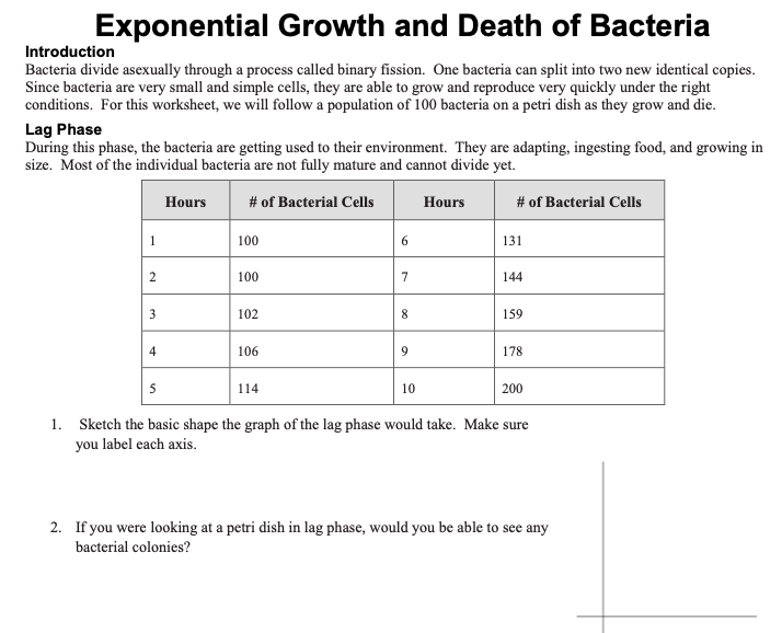34-bacteria-review-worksheet-1-answer-key-support-worksheet