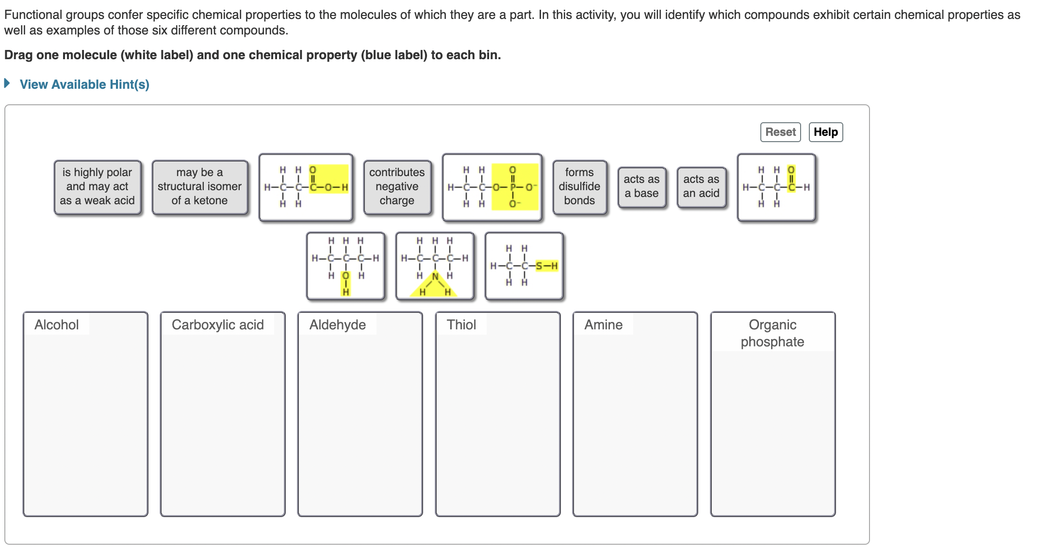 Solved Functional Groups Confer Specific Chemical Properties Chegg