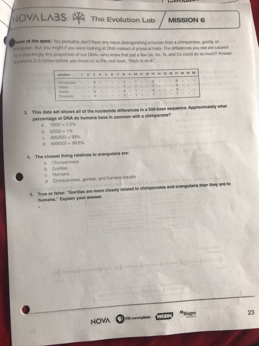 Nova Labs Evolution Lab Answer Key: Your Ultimate Guide In 2023