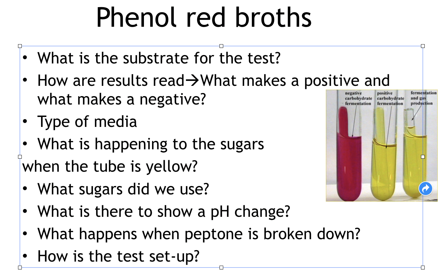Solved Phenol red broths O negative positive carbohydrate