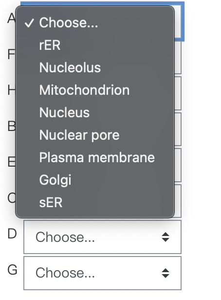 Solved Match The Following Organellecellular Structure With Or Cheggcom