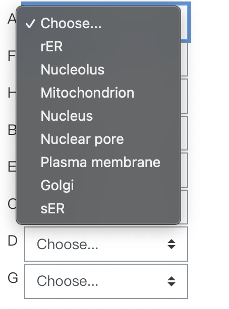 Solved Match The Following Organelles And Structures ( B,G,H | Chegg.com