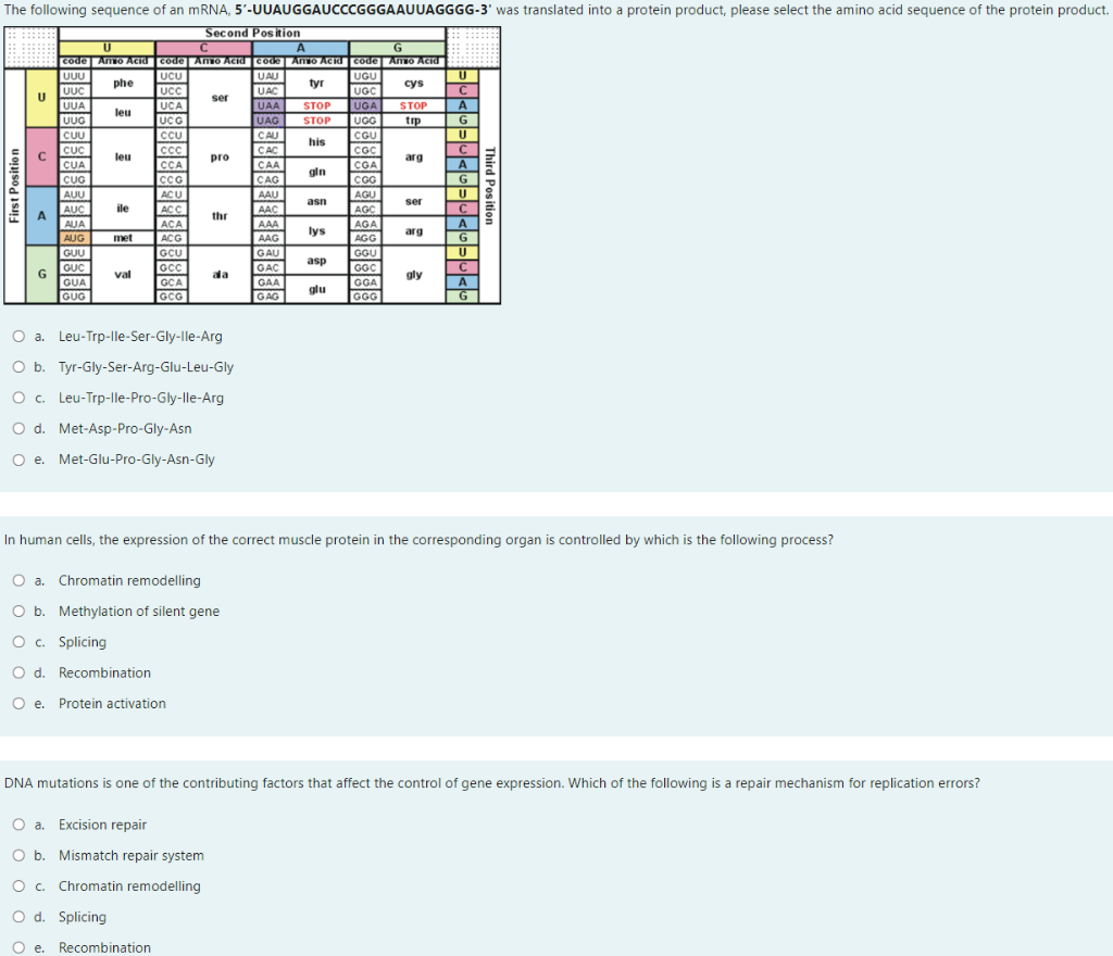 Solved The following sequence of an mRNA, | Chegg.com