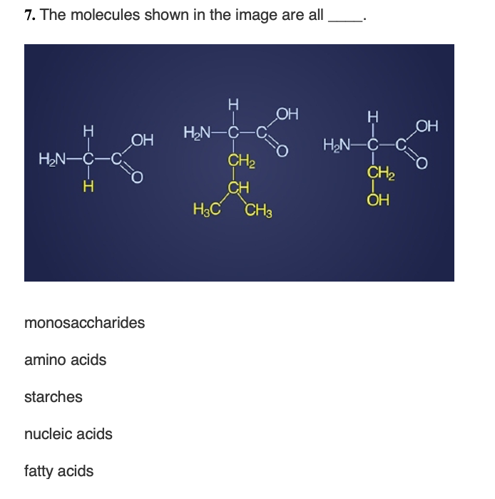 [Solved] 7. The molecules shown in the image are all mono