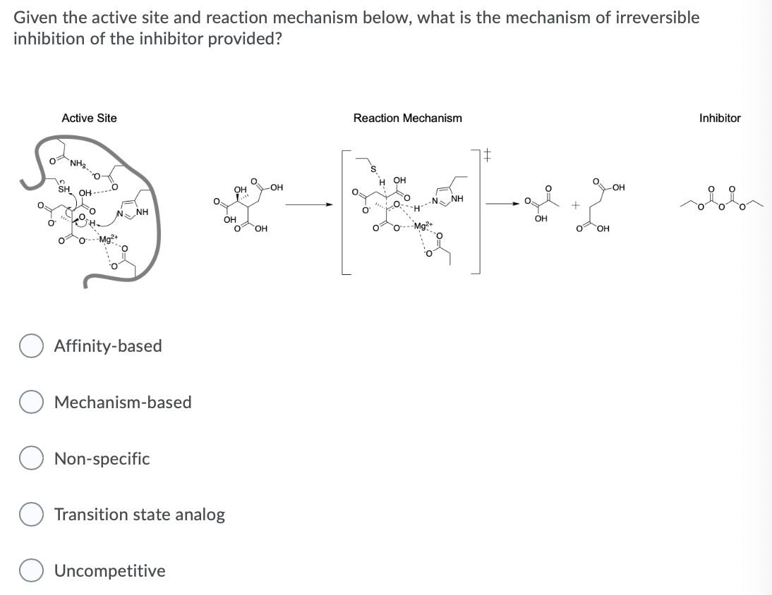 Solved Given the active site and reaction mechanism below, | Chegg.com